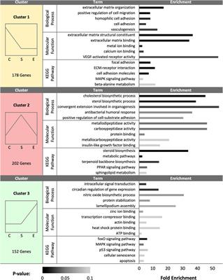 Turkey hen sperm storage tubule transcriptome response to artificial insemination and the presence of semen